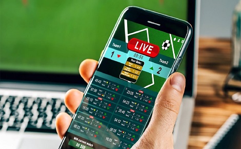 Sport-betting-Synergy